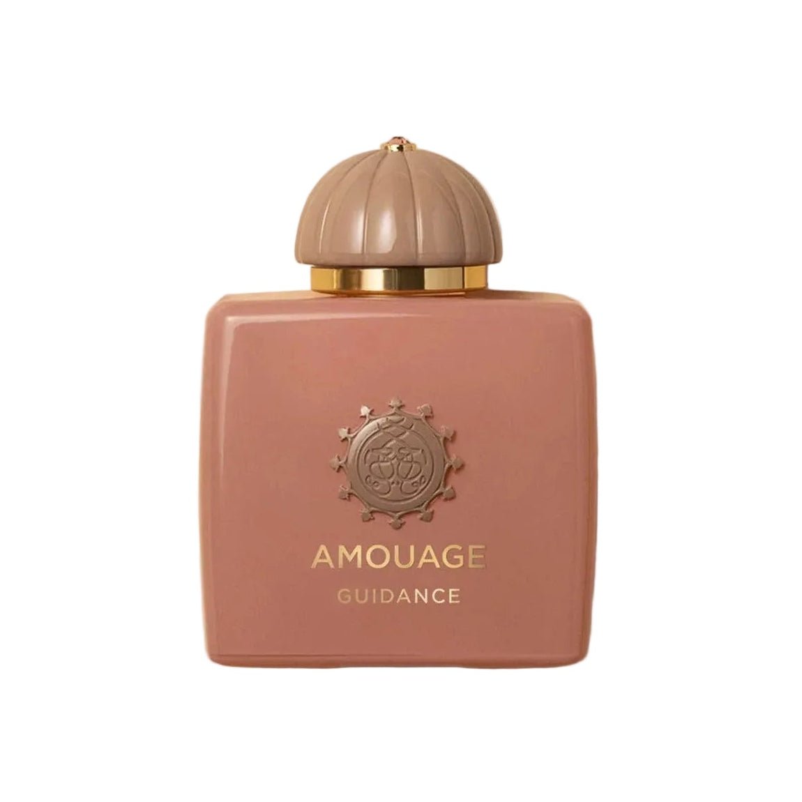Amouage Guidance Eau De Parfum 100ml