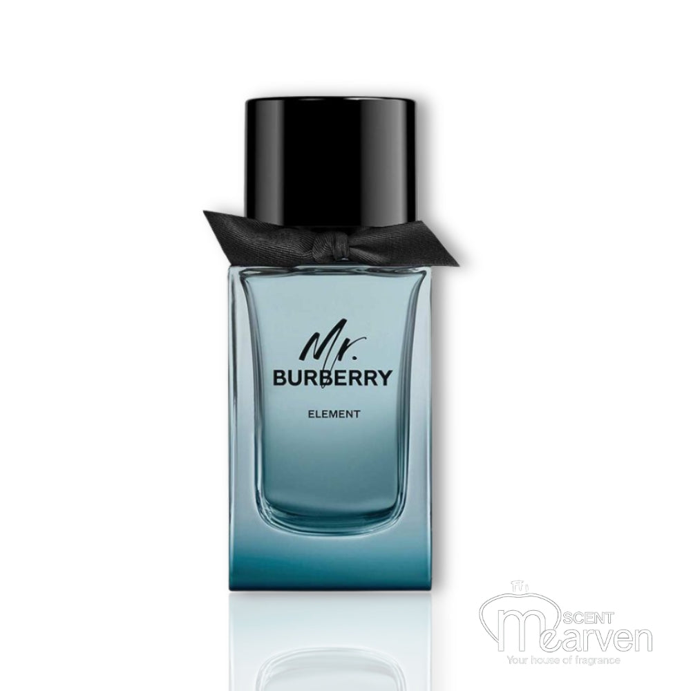 Burberry Mr. Element