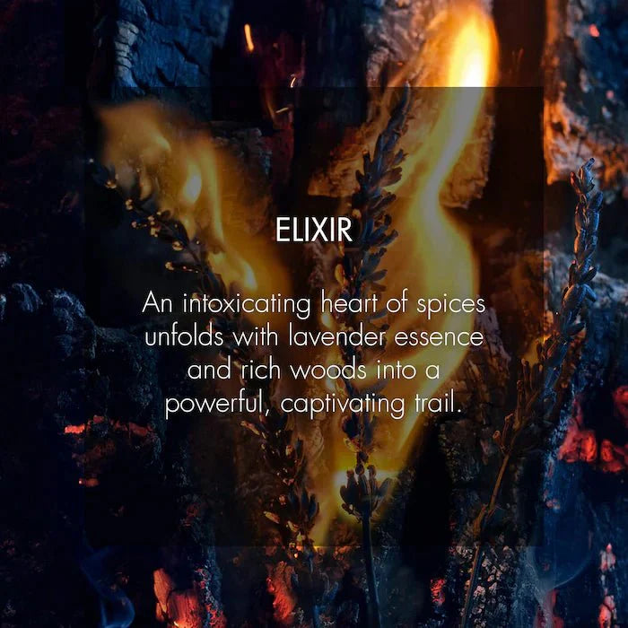 Dior Sauvage Elixir