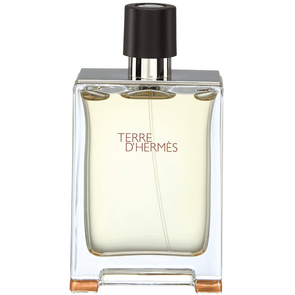 Hermes Terre D'Hermes Eau De Toilette 100ml